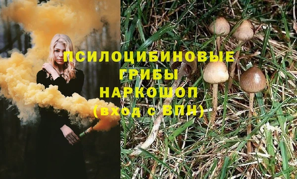 дурь Губаха