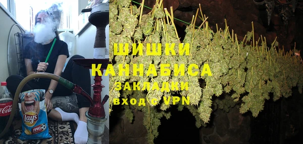 твердый Грязовец