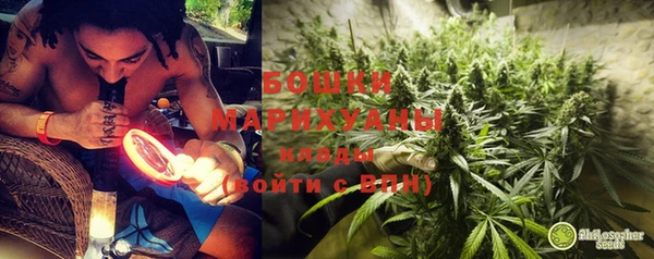 твердый Грязовец