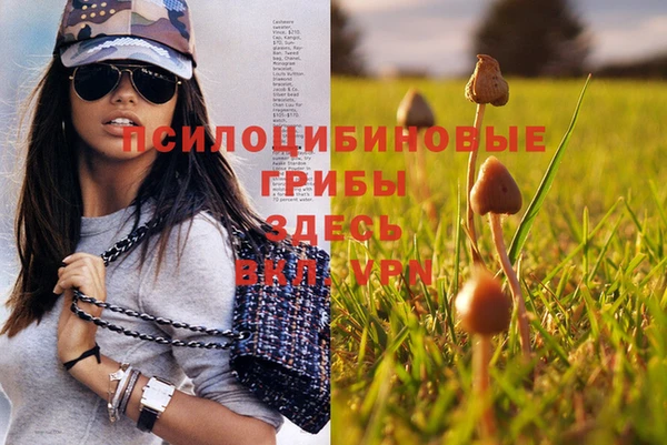 дурь Губаха