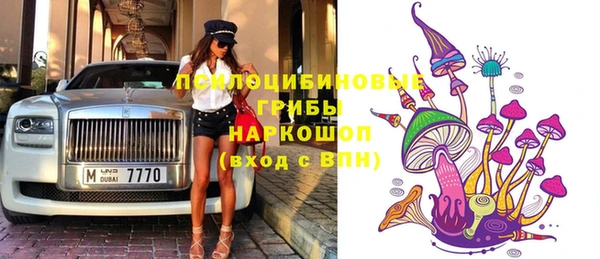 дурь Губаха
