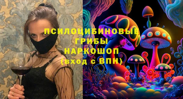 твердый Грязовец